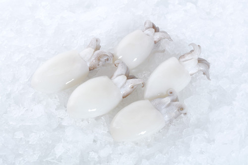 CUTTLEFISH BABY 16/20 UFE  800g x 10pk/ctn