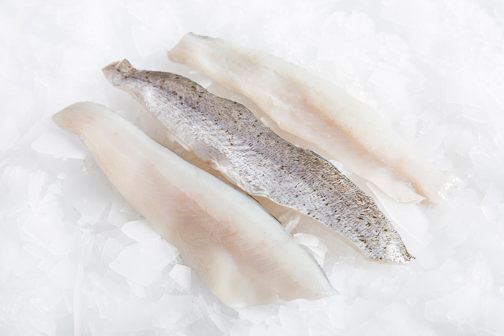 WHITING FILLET P/G 500gm x 10pk/ctn