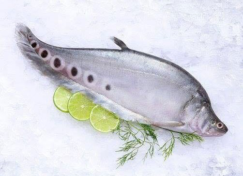 FEATHER BACK WHOLE FISH M/NUT 300gm x 40pk/ctn
