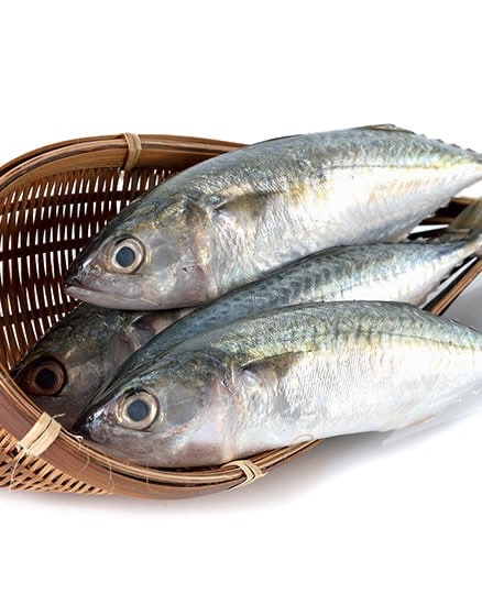 INDIAN MACKEREL 1kg x 10pk/ctn