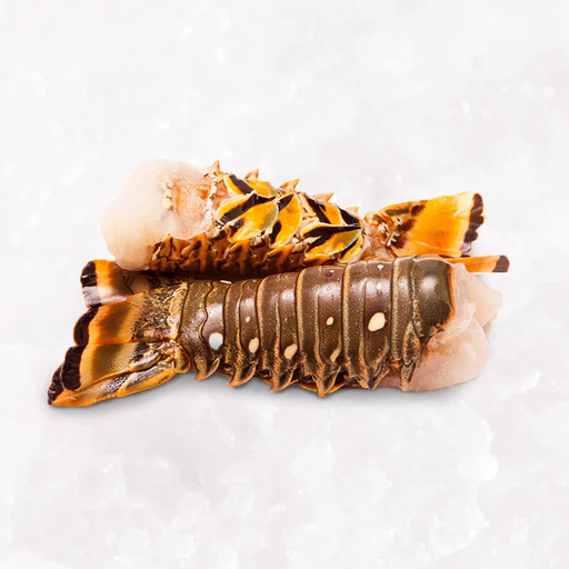 LOBSTER TAIL TROPICAL 11.34kg/ctn