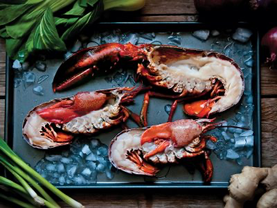 SPLIT MAINE LOBSTER (1 X 4.54KG)(CTN)