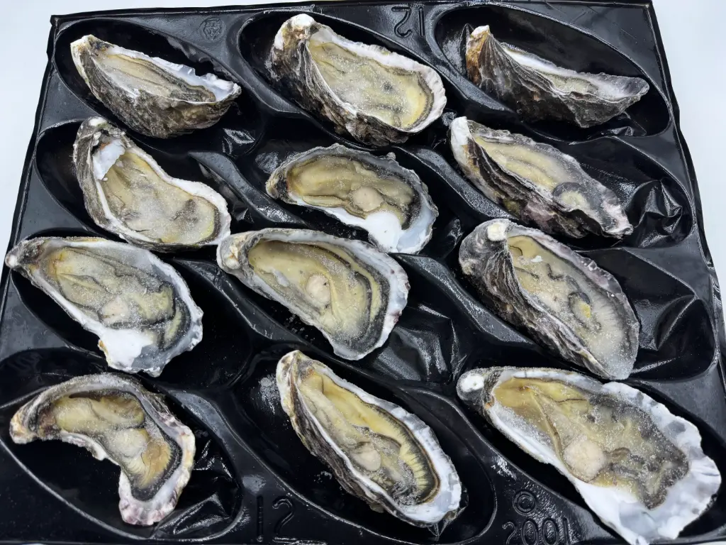 OYSTER S/JUMBO 1/2 SHELL NZ 5dz/ctn