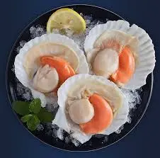 SCALLOP 1/2 SHELL ROE ON XL AWS 半壳扇贝 10pk/ctn