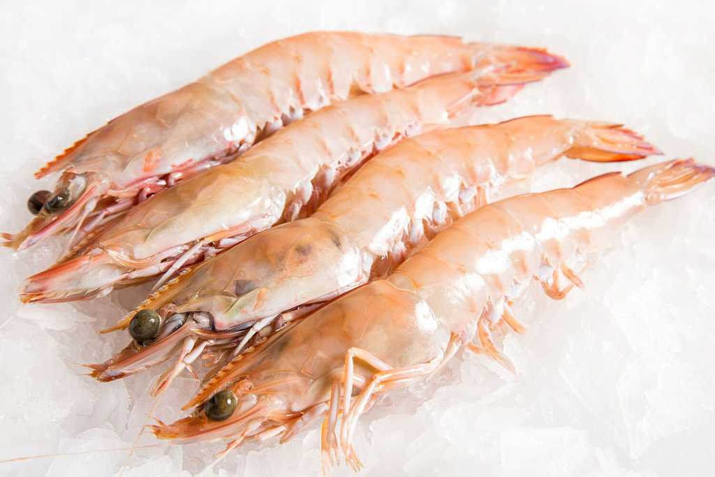 U6 WHOLE GR KING PRAWNS 5kg/CTN
