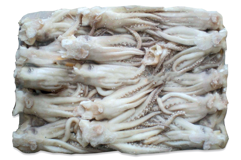 SQUID TENTACLES 120+ T/SAIL 5kg/ctn
