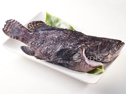 WHOLE PEARL GROUPER GGS 800/1000 (PC/KG)