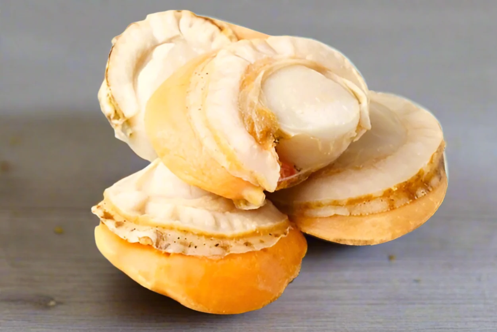SCALLOP MEAT 3S BOILED AUSTRAL 800g x 10pk/ctn
