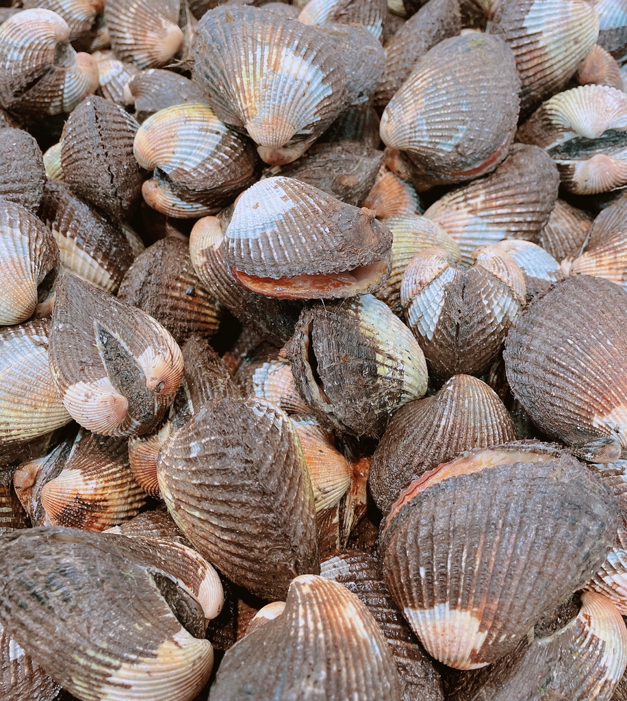 BLOOD CLAM RAW O/BEST 10kg/ctn