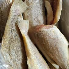 [BCROAKERFISH(I)] HEADLESS BROWN CROAKER FISH 10KG/CTN
