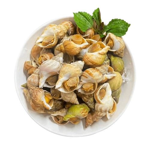 [BULOTC(I)] BULOT SNAIL CHILLI L/GRASS O888 500gx18pk/ctn