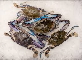 [CSRBSCOC(I)] CRAB RAW BLUE SWIMMER CLEAN C/S 1kg x 6pk/ctn