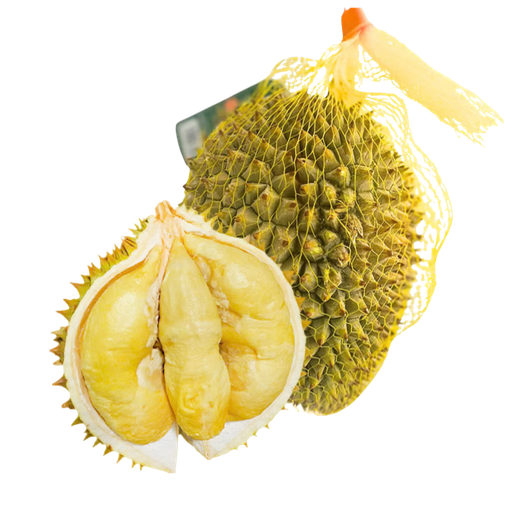 [DURWRI6] WHOLE DURIAN RI6 M/NUT 12kg/ctn