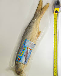 [FDTASS(I)] SALTED TASSEL FISH M/FONG 10kg/ctn