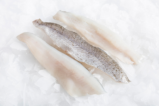 [FFWHIT500RE(I)] WHITING FILLET P/G 500gm x 10pk/ctn