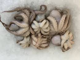 [OCT2640OCH2(I)] OCTOPUS 26/40 O/CHAMP&BEST 2kg x 6pk/ctn