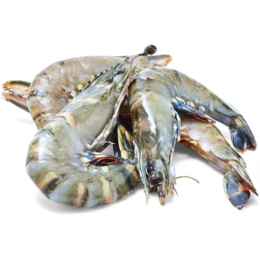 [PWTU6KG5(A)] LOCAL WHOLE RAW TIGER PRAWNS U6 5kg