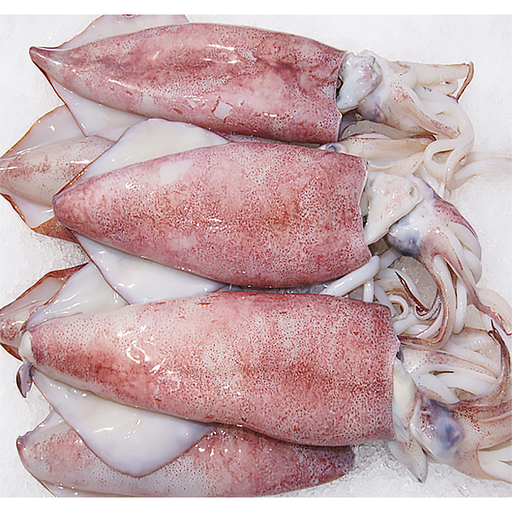 [SQW810RC(I)] SQUID WHOLE  8/10 RC 2x5kg/ctn