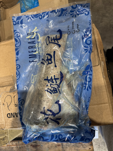 [CARPTAIL(I)] SILVER CARP TAIL 500/1000 (RANDOM WEIGHT) 10KG/ctn