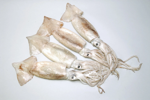 [SQW10/15(I)] SQUID WHOLE 10-15CM AAA A/STAR (RANDOM WEIGHT)