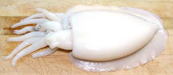 [CUTWHU1(I)] WHOLE CLEANED CUTTLEFISH U1 AWS 10kg/ctn