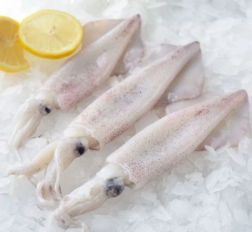 [SQW36UNI(I)] SQUID WHOLE 3/6 UNISEA 1KG X 10PK