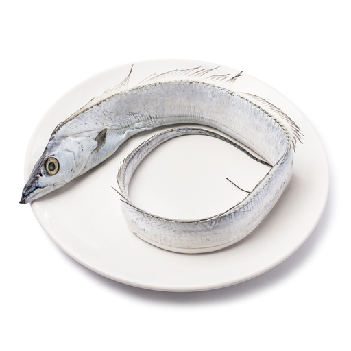 [HAIRIN500(I)] HAIRTAIL WHOLE FISH INDO 500/700 9kg/ctn